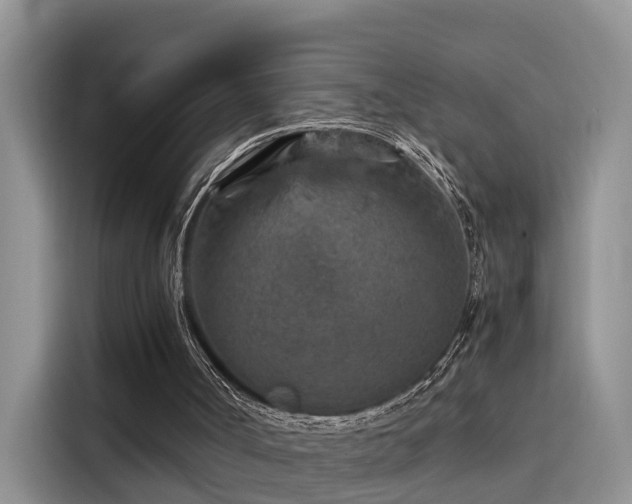 X0000115580002200911171019