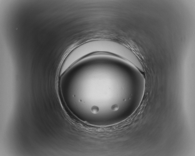 X0000115580003200911171019