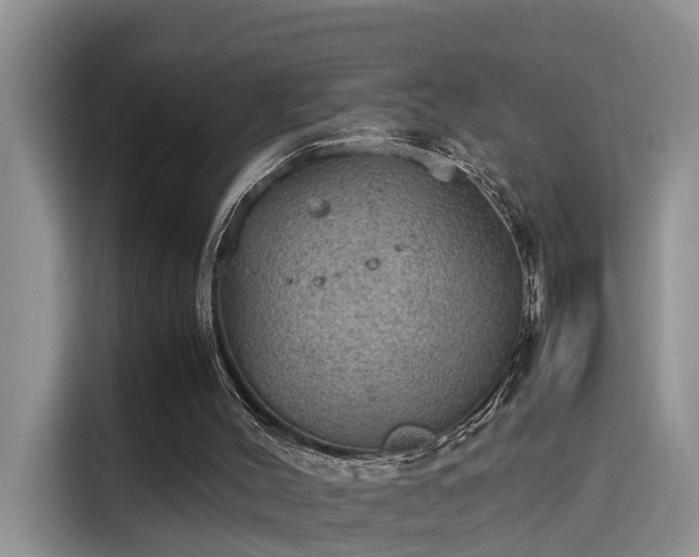 X0000115580004200911171019