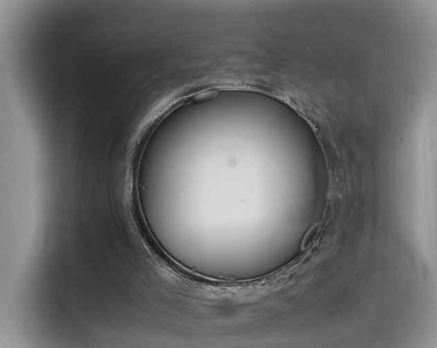 X0000115580005200911171019