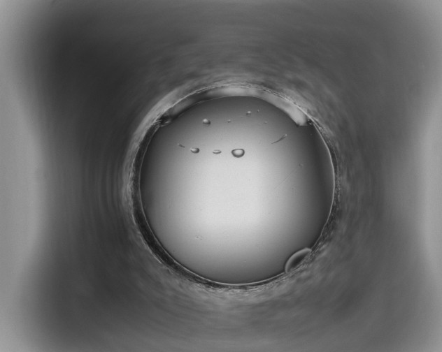 X0000115580007200911171019