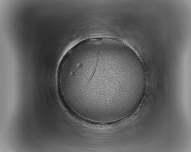 X0000115580008200911171019