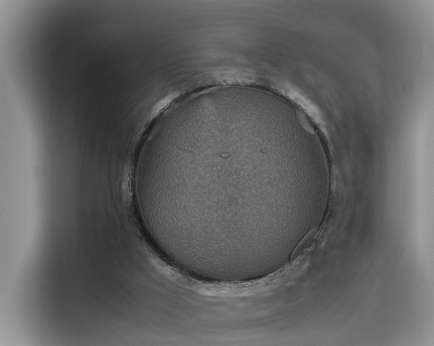 X0000115580009200911171019