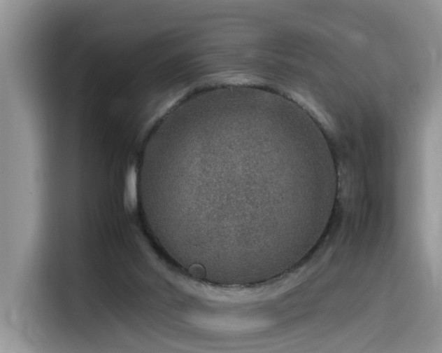 X0000115580014200911171019