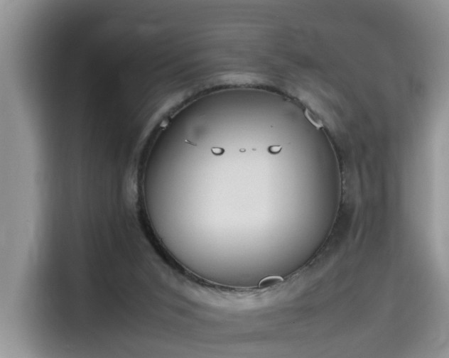 X0000115580015200911171019