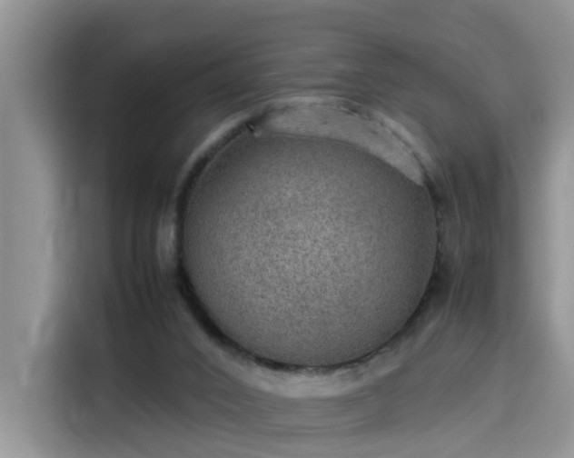 X0000115580016200911171019