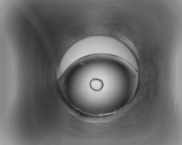 X0000115580017200911171019