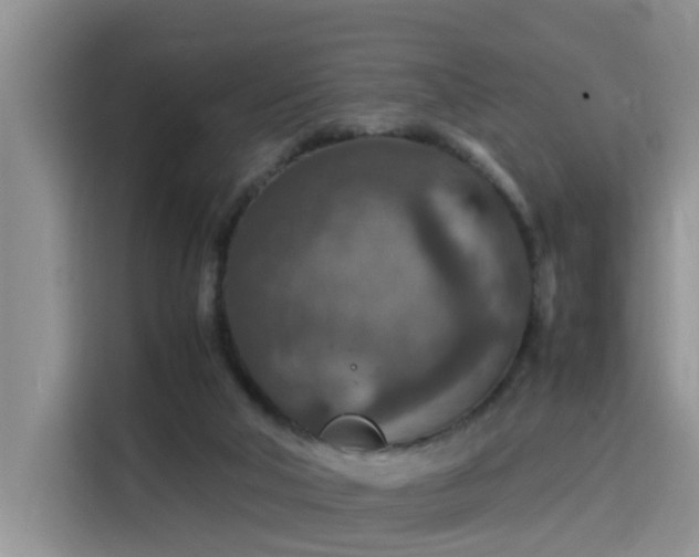 X0000115580018200911171019