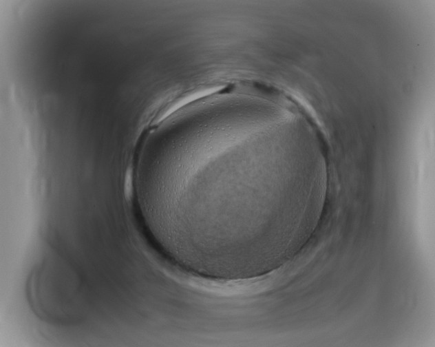 X0000115580019200911171019