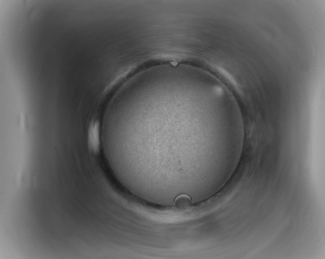 X0000115580020200911171019