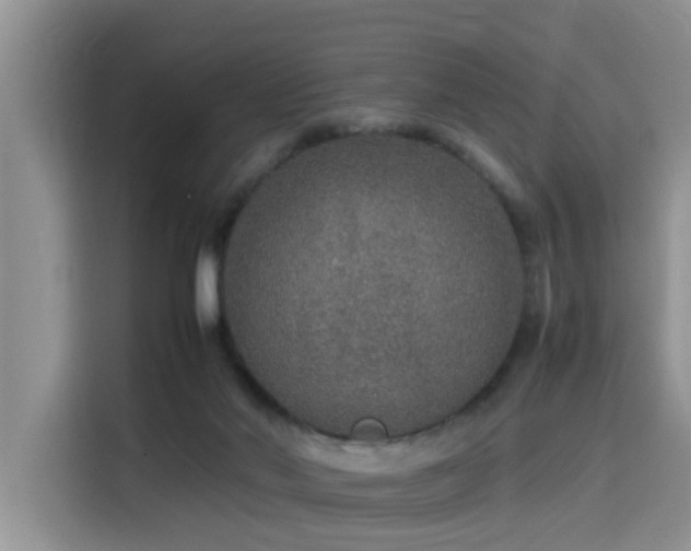 X0000115580022200911171019