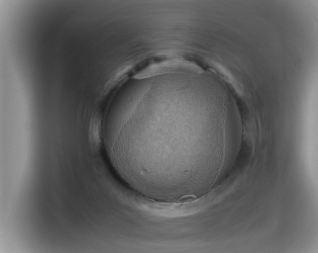 X0000115580023200911171019