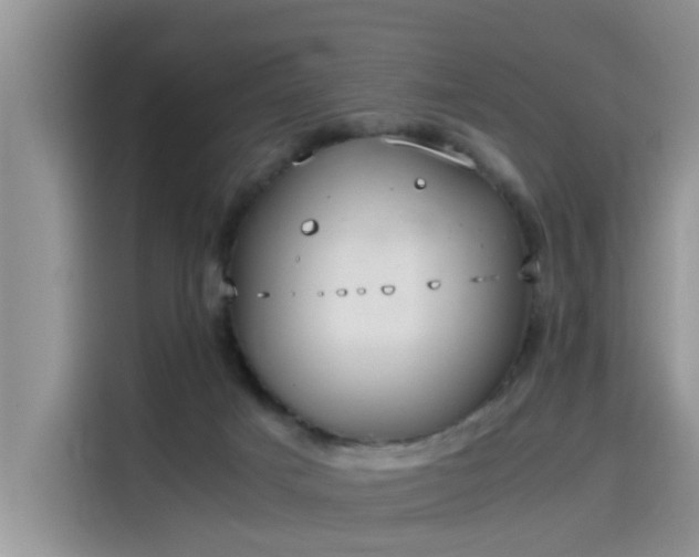 X0000115580025200911171019