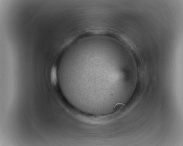 X0000115580028200911171019