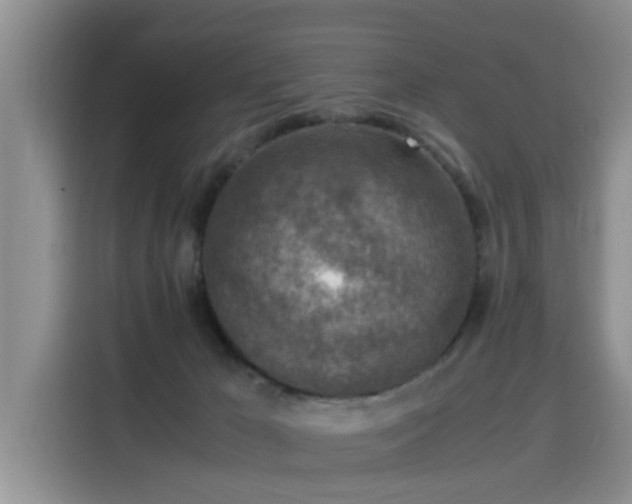 X0000115580029200911171018