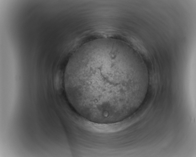 X0000115580030200911171018