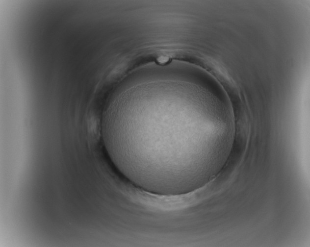 X0000115580031200911171018