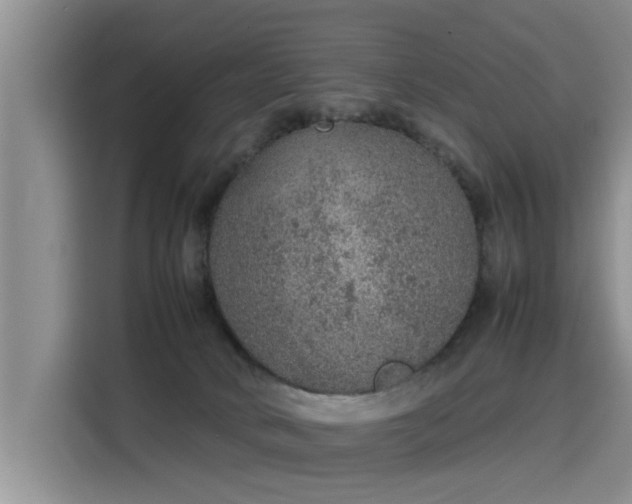 X0000115580034200911171018