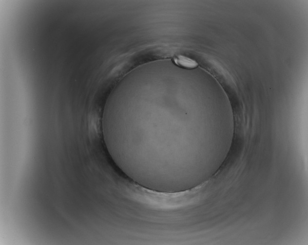 X0000115580035200911171018