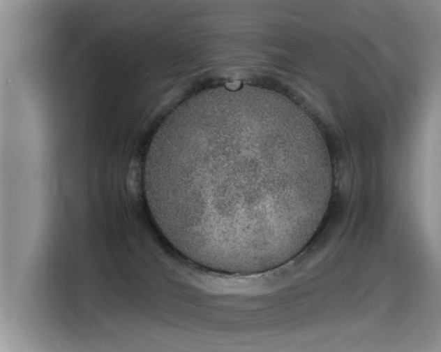 X0000115580036200911171018