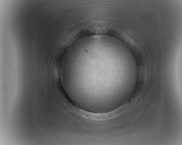 X0000115580039200911171018