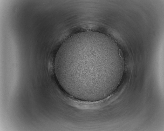 X0000115580040200911171018