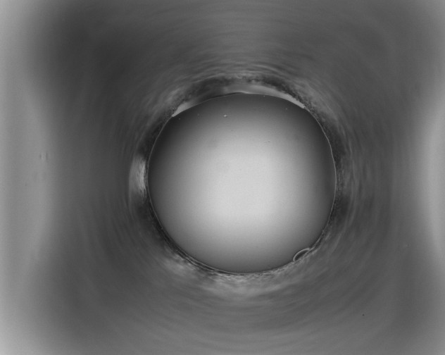 X0000115580041200911171018