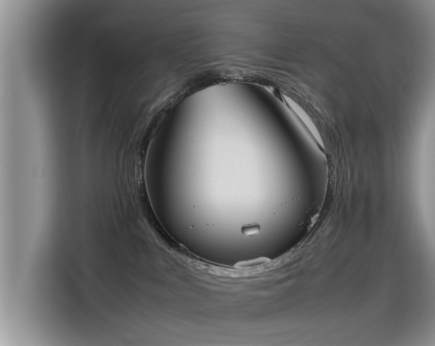 X0000115580043200911171018