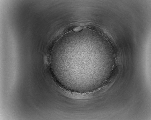 X0000115580044200911171018