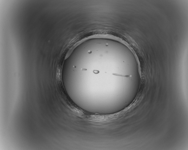 X0000115580045200911171018