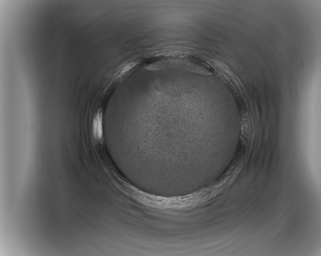 X0000115580046200911171018