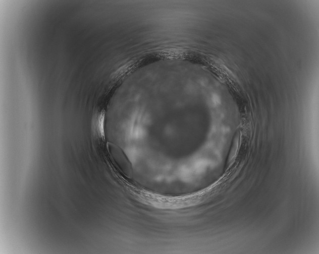 X0000115580047200911171018