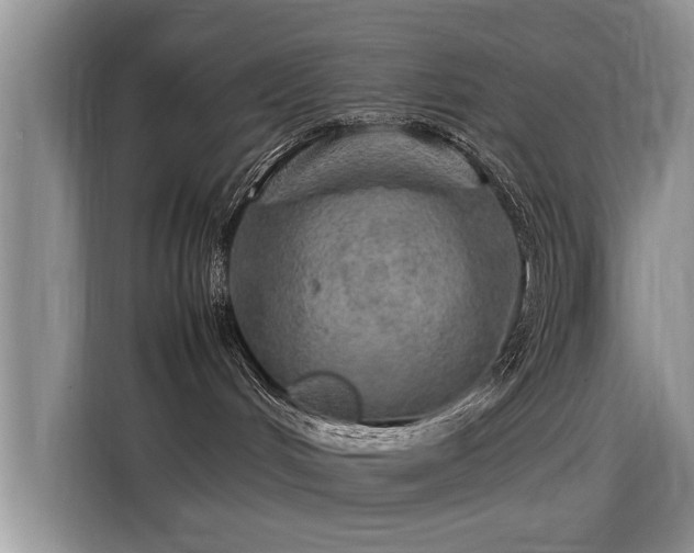 X0000115580048200911171018