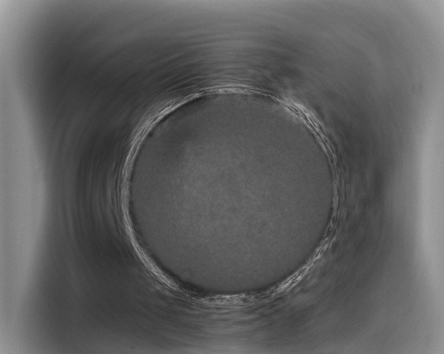 X0000115580049200911171018