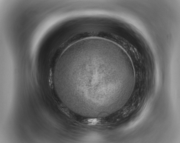 X0000115580050200911171018