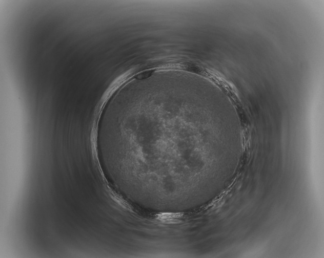 X0000115580051200911171018