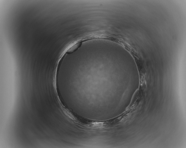 X0000115580052200911171018