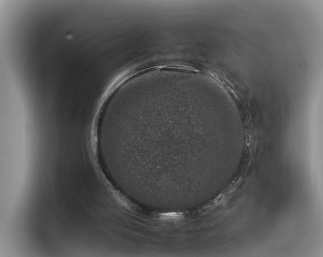 X0000115580053200911171018