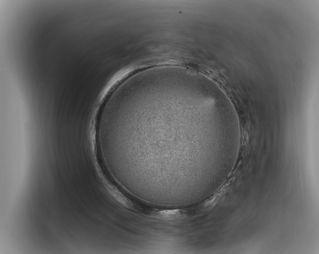 X0000115580054200911171018