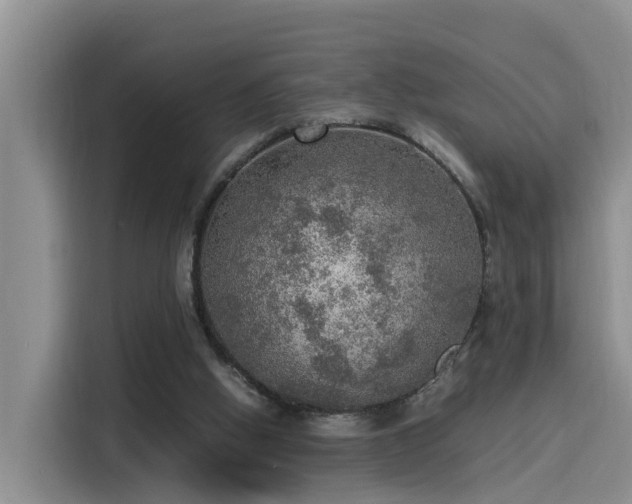 X0000115580058200911171018