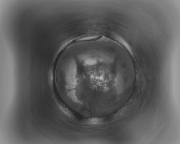 X0000115580059200911171018