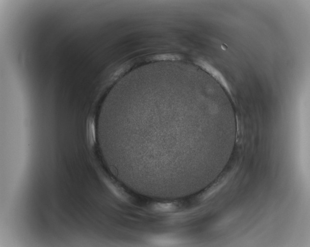 X0000115580061200911171018