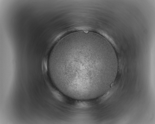 X0000115580062200911171018