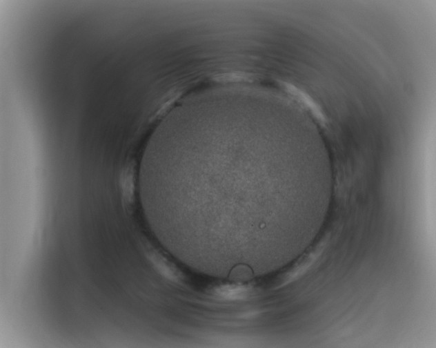 X0000115580065200911171018