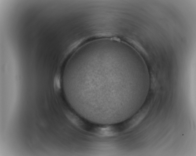 X0000115580068200911171018