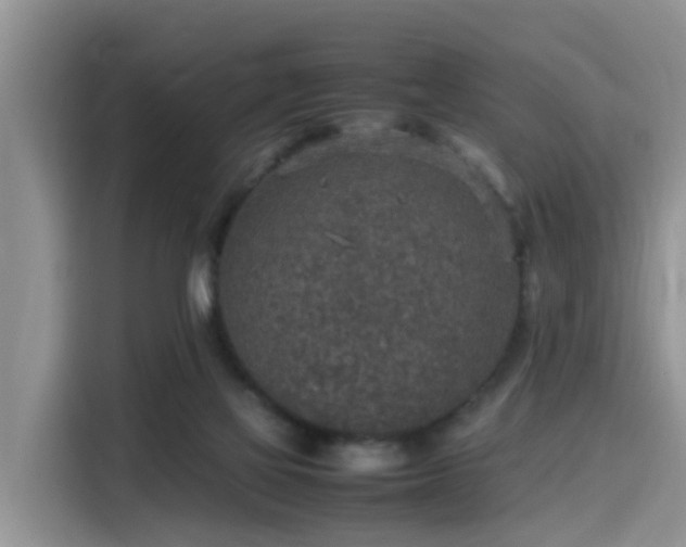 X0000115580069200911171018