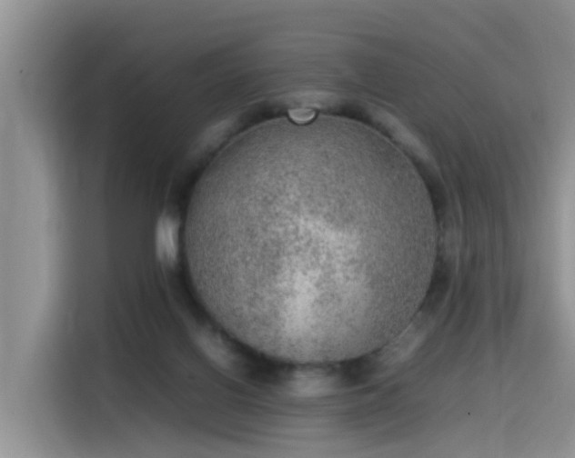 X0000115580070200911171018