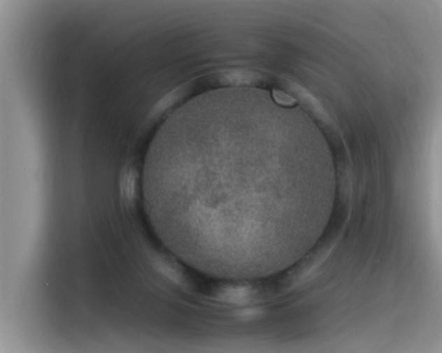 X0000115580071200911171018