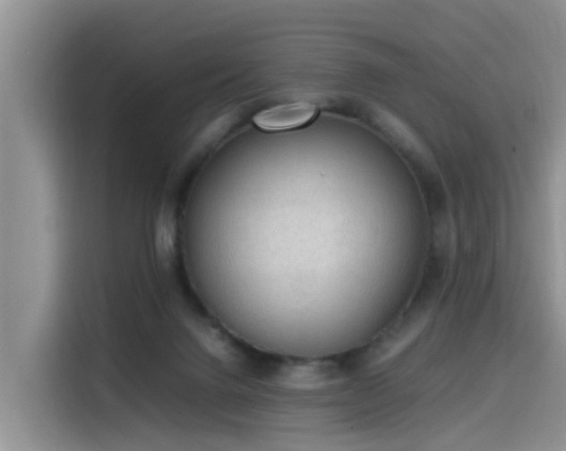 X0000115580072200911171018