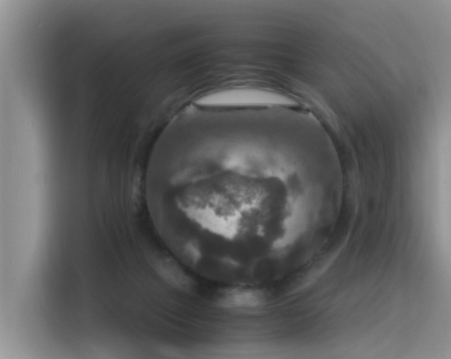 X0000115580073200911171018